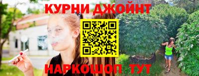 стафф Будённовск