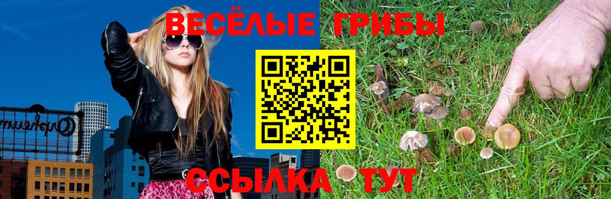 Галлюциногенные грибы Cubensis Семилуки